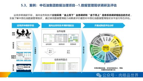 XX集團數(shù)據(jù)治理體系建設(shè)方案 數(shù)據(jù)處理與存儲服務