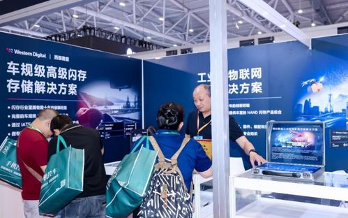 西部數據亮相P&I Shanghai 2024 以卓越存儲賦能影像創(chuàng)作新時代